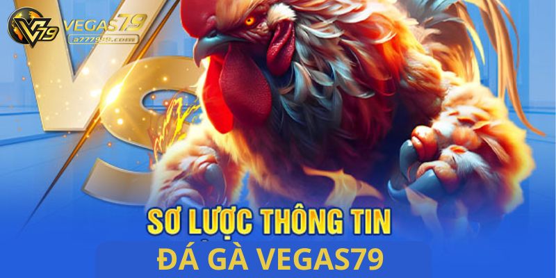 đá gà Vegas79