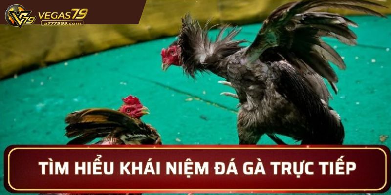 đá gà trực tiếp