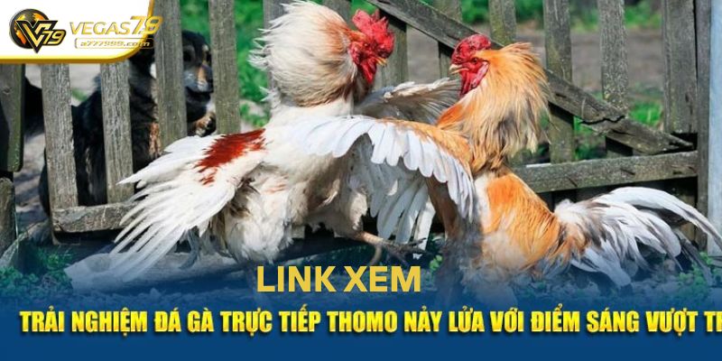 đá gà trực tiếp