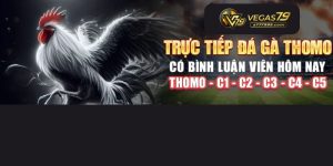 đá gà trực tiếp