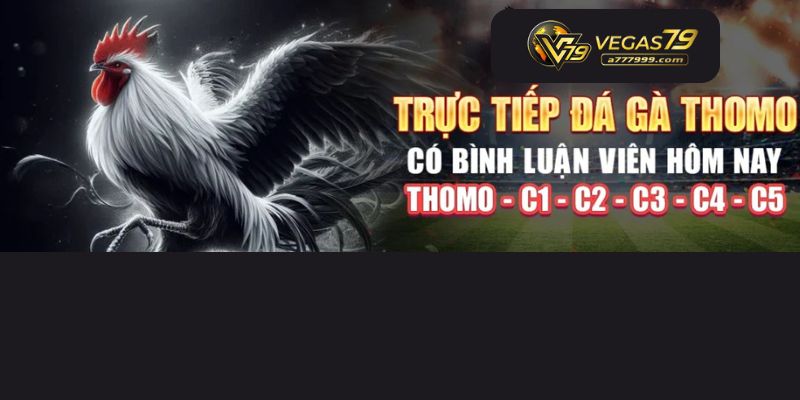 đá gà trực tiếp
