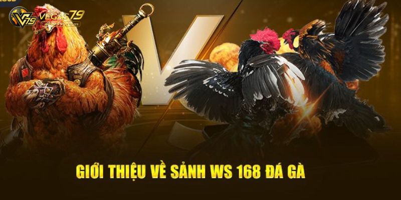đá gà ws168