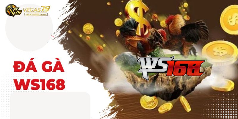 đá gà ws168