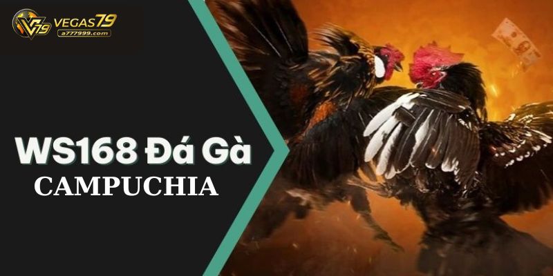 đá gà ws168