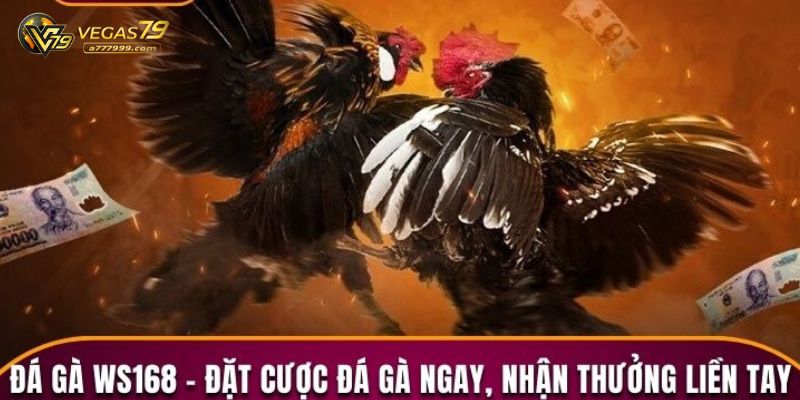 đá gà ws168
